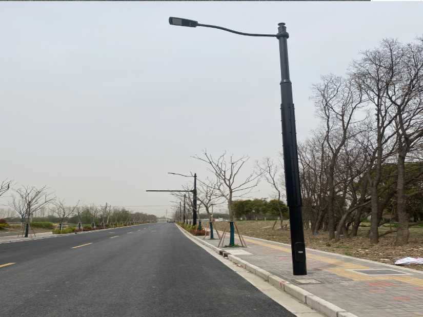 顺昌县上海综合杆 太阳能路灯工程